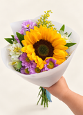 Girasol Decorado